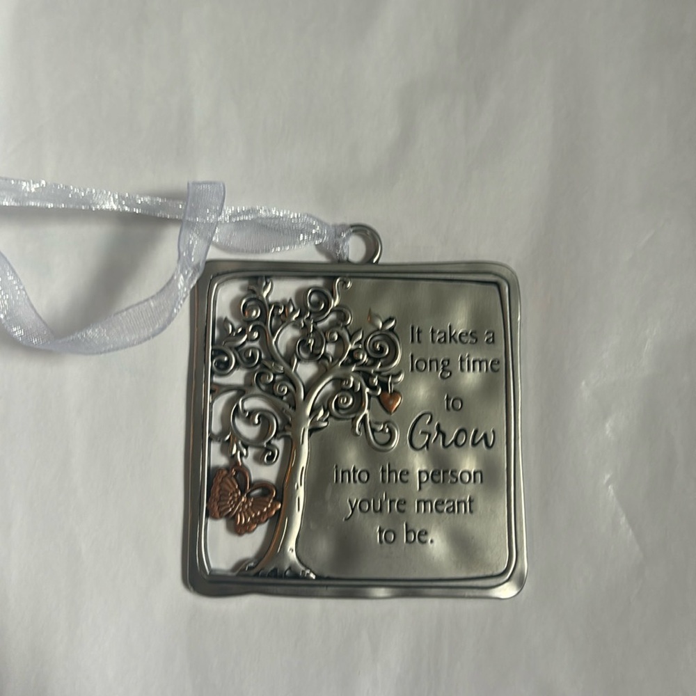 NEW Motivational It Takes Time To Grow Ornament Hanger